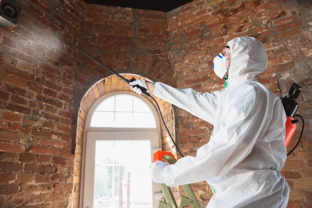 Best Forensic Mold Investigation  in Inez, TX